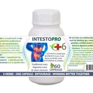 Intestopro web