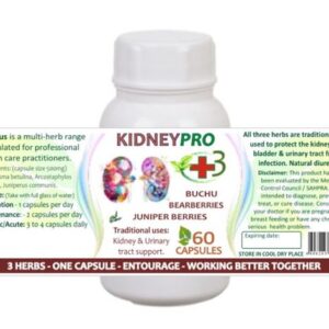 Kidneypro Web