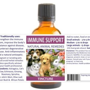 Immune Support