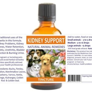 Kidney Support